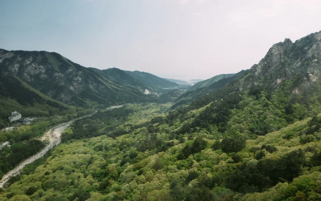 The Search To Be A Better Christian