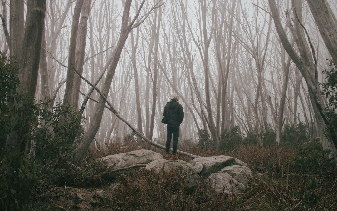 The Myth of the Individual